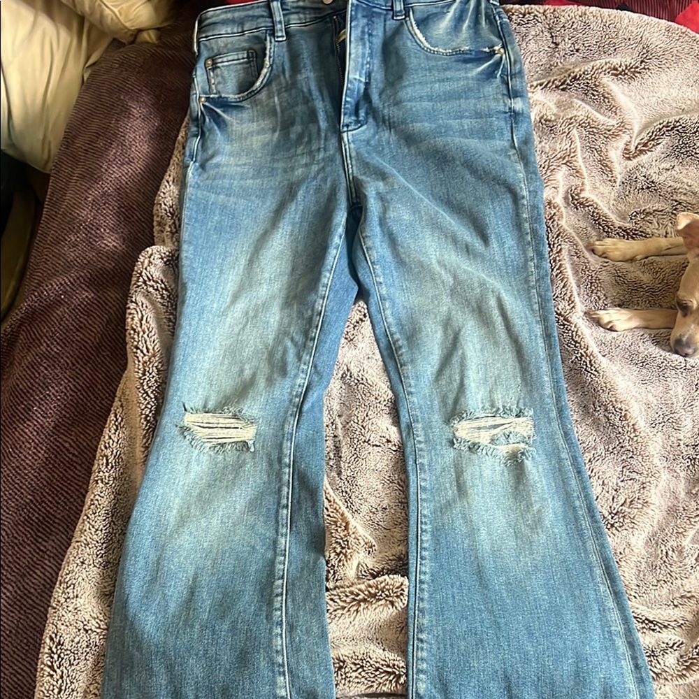 Women's Blue Distressed Jeans from Anthropology NWT size 28 flare bottoms
